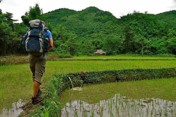 Day Trek to Kuangsi Waterfall and Bear Sanctuary - Luang Prabang full day tour - The Forest Trail to Kuang Si: Villages, Views, and Real Sun