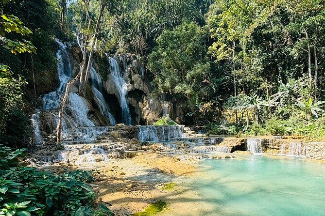 Day Trek to Kuangsi Waterfall and Bear Sanctuary - Luang Prabang full day tour - Price and Value: Why $92.29 Can Work for a Full-Day Plan