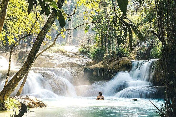 Day Trip to Kuang Si Waterfalls - The Bear Sanctuary Bonus Near the Water