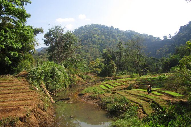 Full Day Crossing the Bolaven Plateau - Price and value: what $125.57 is actually buying