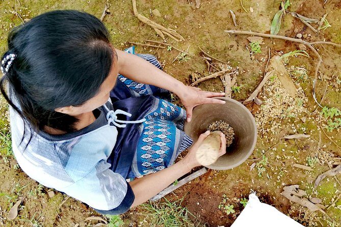 Full Day Crossing the Bolaven Plateau - Coffee plantation morning: Arabica and Robusta in everyday life