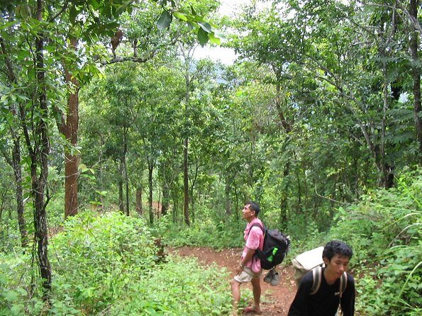 Full Day Trek to Kuang Si Waterfalls, Remote Village - Lunch at the Khmu family restaurant: what makes it worth the stop
