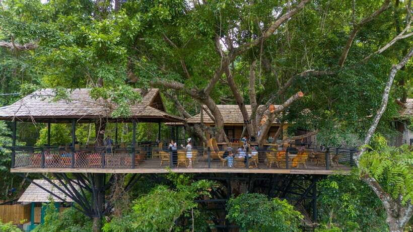 Kuang Si Waterfall, Tree Top Cafe, Ziplining - A Zipline-and-Waterfall Day in Luang Prabang Province