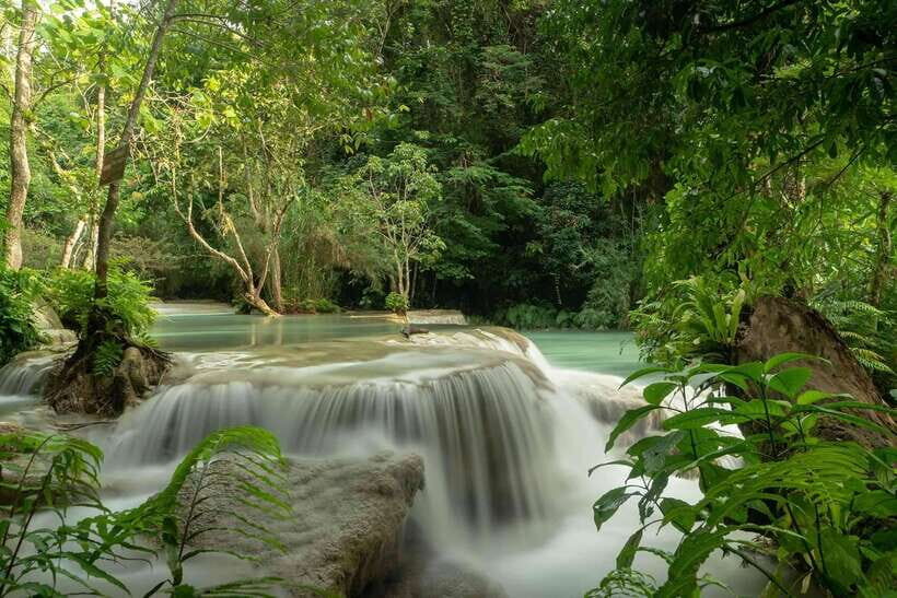 Kuang Si Waterfall, Tree Top Cafe, Ziplining - Kuang Si Waterfall Pools and Forest Paths: Time to Cool Off