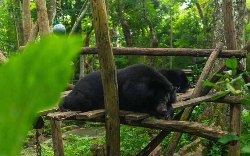 Kuang Si Waterfall, Tree Top Cafe, Ziplining - How the Day Actually Flows (So You Can Avoid Feeling Rushed)