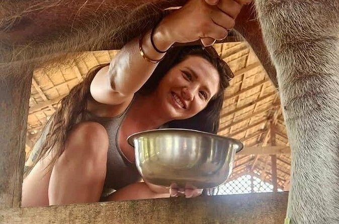Laos Buffalo Dairy Tours Interact, Learn and Taste Fresh Flavors - Why the Education Feels Real (Not Just a Script)