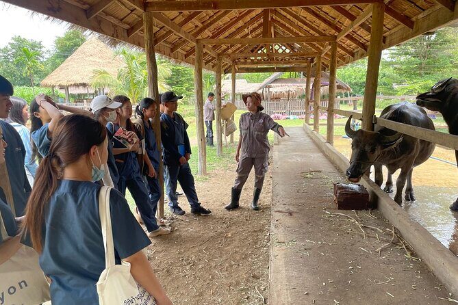 Laos Buffalo Dairy Tours Interact, Learn and Taste Fresh Flavors - The On-Site Café: Homemade Cake and Buffalo Ice Cream