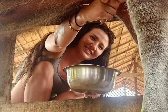 Laos Buffalo Dairy Tours Interact, Learn and Taste Fresh Flavors - Price and Value: Is $14 a Fair Deal?