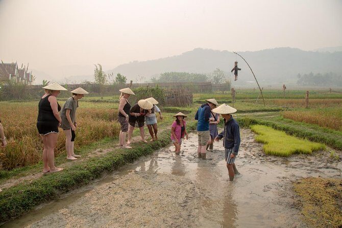 Living Land Rice Farming Experience - Why This Rice Farming Experience Feels Different in Luang Prabang