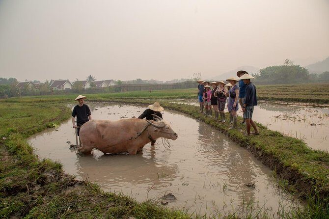 Living Land Rice Farming Experience - The Guides Make or Break the Day: Johnny, Geo, Sai, and Kham