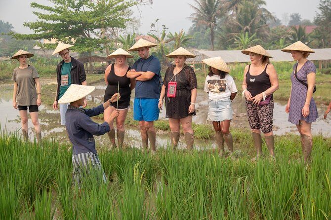 Living Land Rice Farming Experience - Optional Waterfalls and Caves: Extending the Day Without Losing It