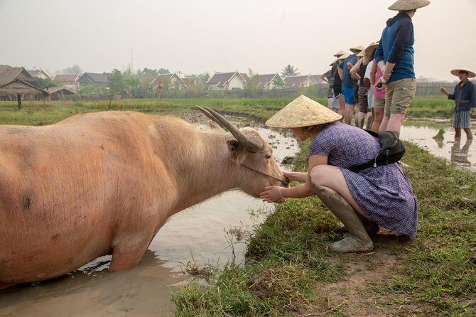 Living Land Rice Farming Experience - Who Should Book This Rice Farm Experience (and Who Might Skip It)