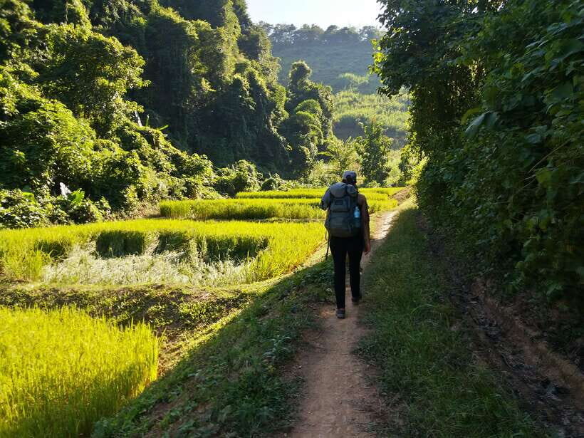 Luang Prabang: 3-Day Cultural Remote Trek With Homestay - Day 1: Boat Crossing, Jungle Trails, and a Hmong Homestay Dinner