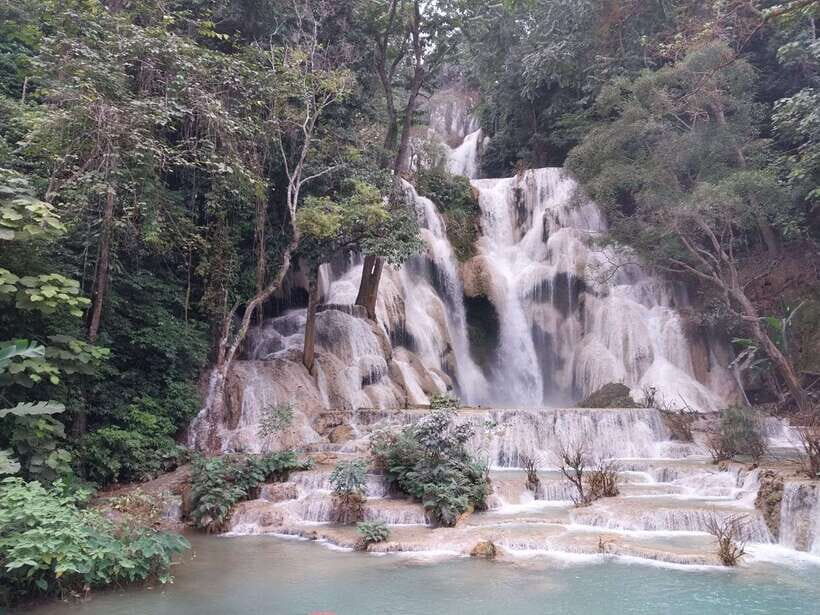 Luang Prabang: Bamboo Experience & Kuang Si Falls Tour - Lao cooking class: you’re not watching—you’re cooking bamboo shoot meals