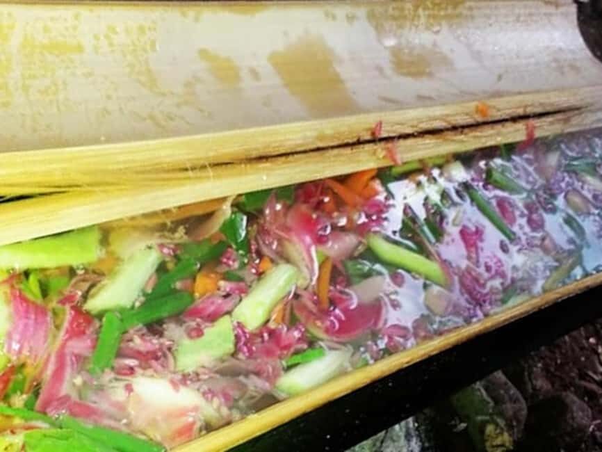 Luang Prabang: Bamboo Forest Cooking-class & Farm Visit - Start at the vegetable farm: picking food like a local
