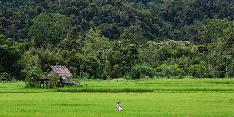 Luang Prabang: Countryside Mountain Bike Tour with Lunch - Wat Phon Phao: an octagonal temple with a huge golden stupa