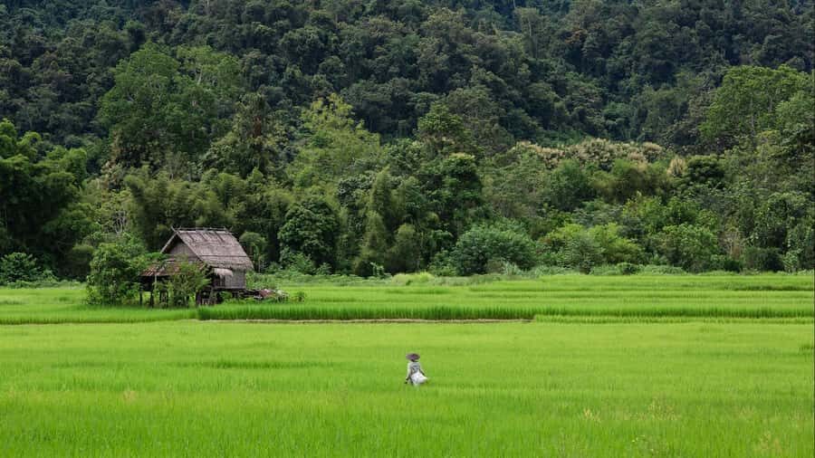 Luang Prabang: Countryside Mountain Bike Tour with Lunch - The biking reality: 50 km, mixed road, and medium-grade trails