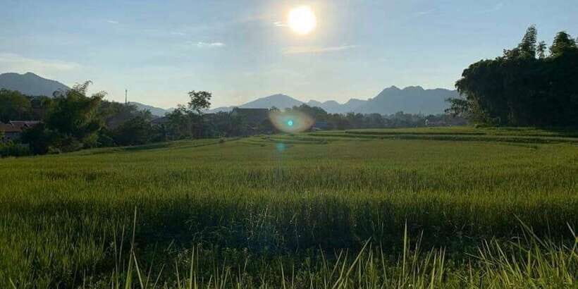 Luang Prabang: Evening Cooking Class & Local Baci Ceremony - Price and value: what $51 really buys in 4 hours