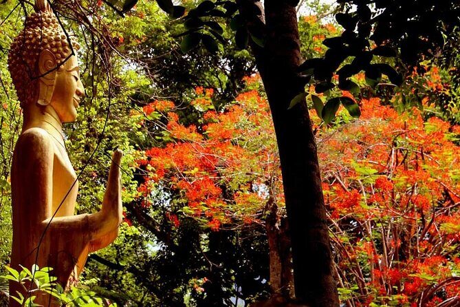 Luang Prabang Foodie Walking Tour and Monk Blessing - Price and value: $50 for food, coffee, temple learning, and a small-group walk