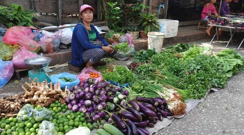 Luang Prabang: Foodie Walking Tour & Monk Blessing - Key Things You’ll Notice on This Luang Prabang Food and Monk Tour