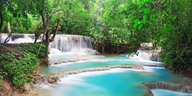 Luang Prabang: Local Village & Kuang Si Falls Private Tour - Bear Sanctuary: Rescued Asiatic Black Bears and the Why Behind It
