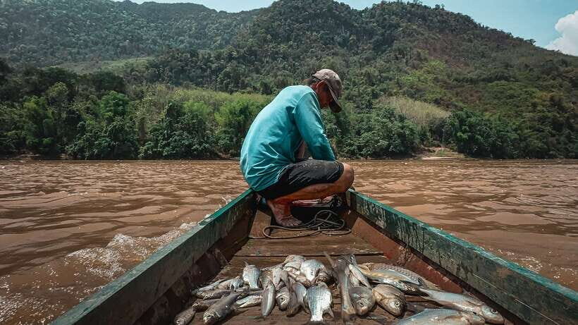 Luang Prabang: Mekong Fishing with a Local Fisherman & Lunch - Key things I’d watch for before you go
