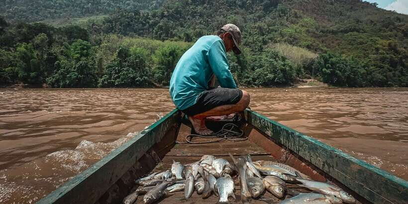 Luang Prabang: Mekong Fishing with a Local Fisherman & Lunch - Net casting with the fisherman: the hands-on moment