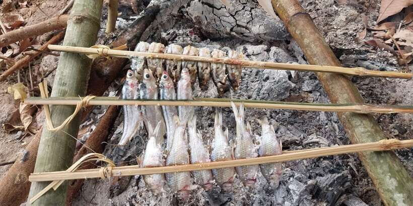 Luang Prabang: Mekong Fishing with a Local Fisherman & Lunch - Lunch on the riverbank: grilled fish, communal style, and real comfort food