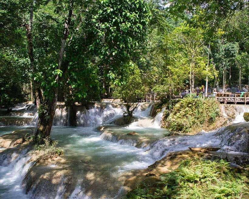 Luang Prabang Thin Pha Trail & Tad Sae Falls Trek - The main hike: rice paddies to mid-canopy forest to rocky slopes