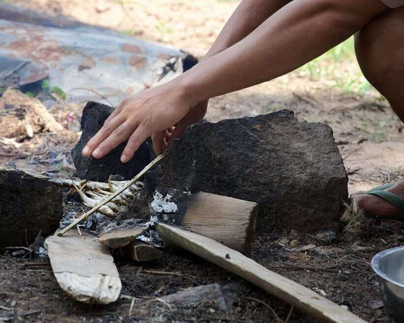 Luang Prabang Thin Pha Trail & Tad Sae Falls Trek - Flora, fauna, and the guide’s role in making the hike make sense