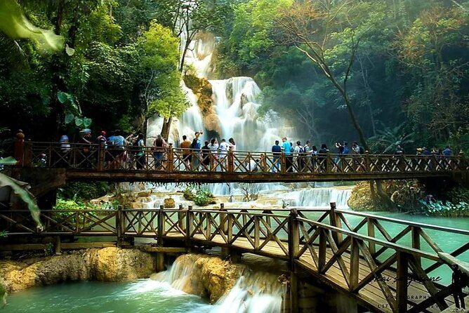 Luang Prabang's Beauty & Heritage in 1 Day - All-Inclusive Tour - Stop 1: Kuang Si Falls and the Bear Shelter You’ll Notice