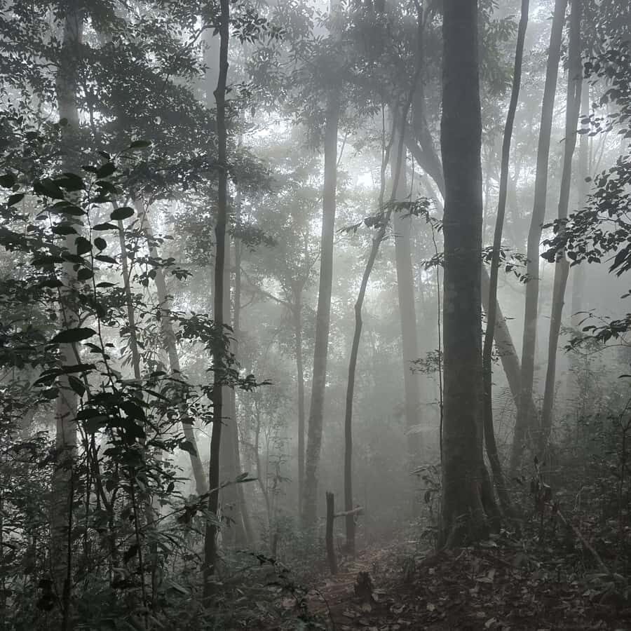 Overnight Camping At nong khiaw view point, 360 view - English Guide Support and the Role of Ming on the Trail