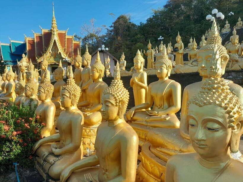 Pakse: Mystic Falls & Timeless Temples of Southern Laos Tour - Price and Logistics: What $97 Covers in Practice