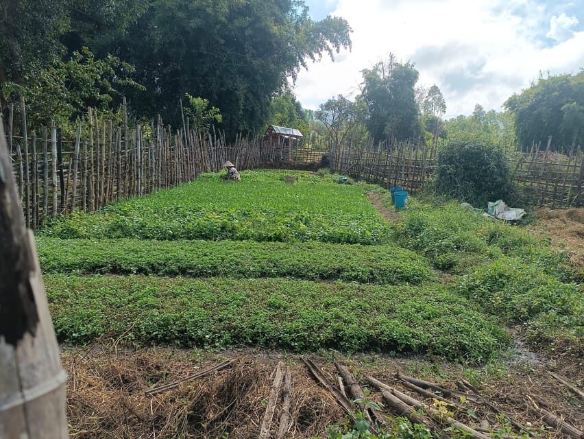 Plain of jars share group tour - Guides and Pace: When Friendly Help Makes the Day Easier
