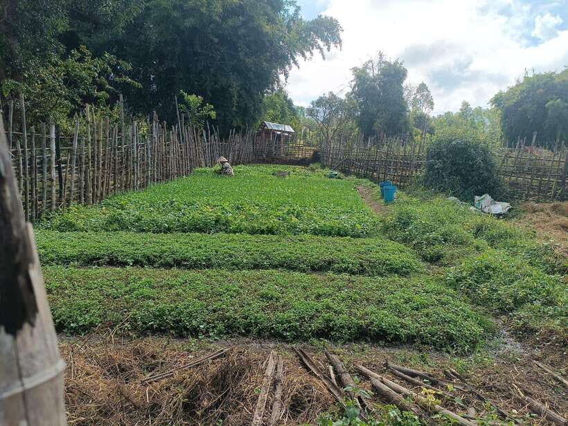 Plain of jars share group tour - Price and Value at $99: What You’re Actually Paying For