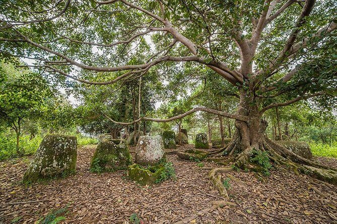 Plain of jars tour with local guide - Price and logistics: where the $146 makes sense