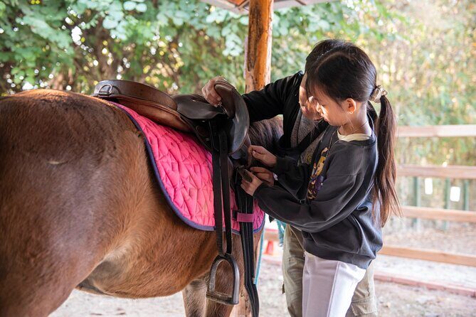 Pony Riding in Luang Prabang - Quick hits: what you’ll remember
