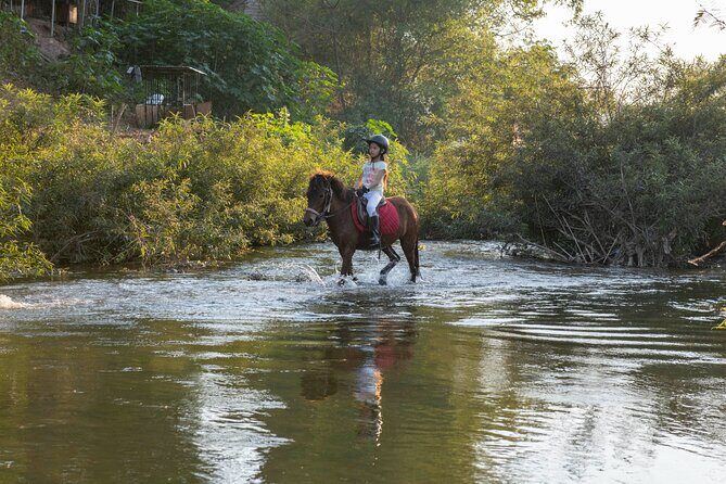 Pony Riding in Luang Prabang - Meet the Hmong Horse the Lao Way at Namkhan Horses Stables