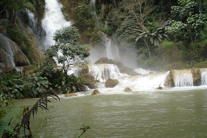 Private Tour Full-day Morning Market, Villages and Scenic Kuang Si Waterfall - Tat Kuang Si Bear Sanctuary: rescued Asiatic black bears up close
