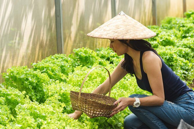 The Namkhan - Cooking Class - Why The Namkhan cooking class feels different in Luang Prabang