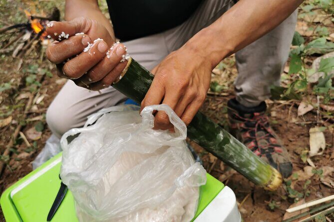 Tribal Cooking Class in Luang Prabang Forest and visit - Naga Lodge pickup and the short trek into the primary forest