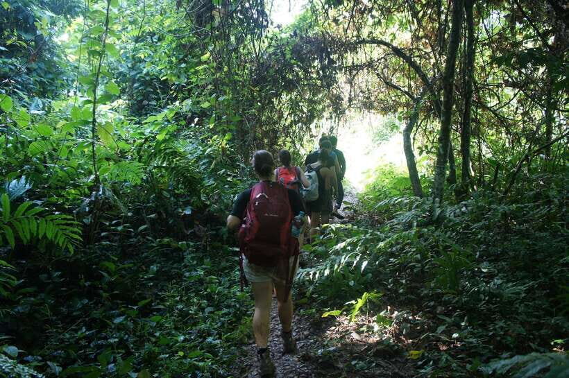 Vang Vieng: Jungle & Caves Full-Day Private Trekking Tour - What This Private Trek Is Really Like