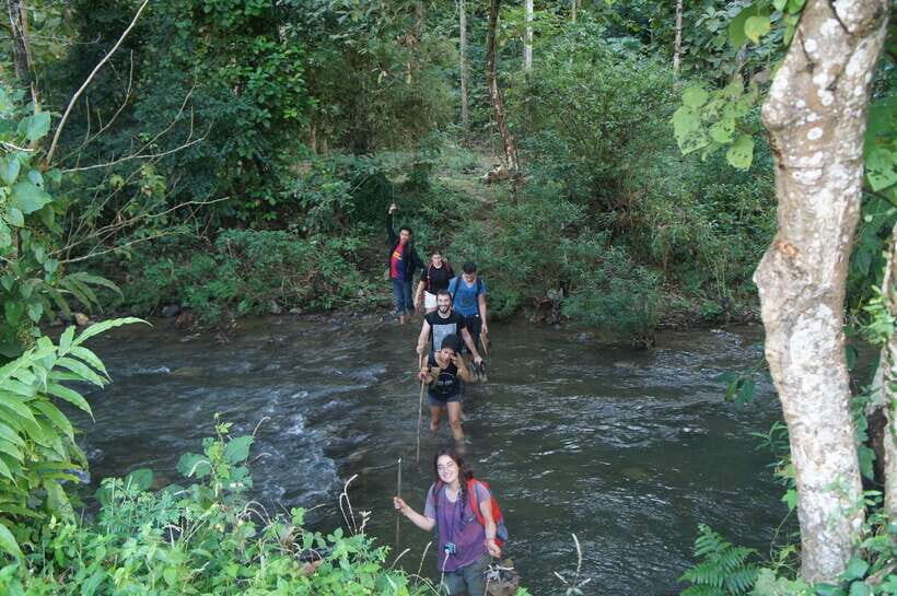 Vang Vieng: Jungle & Caves Full-Day Private Trekking Tour - Tham Hok Cave: Stalactites, Stalagmites, and Cave-Time Reality