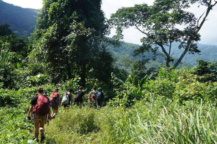 Vang Vieng: Jungle & Caves Full-Day Private Trekking Tour - Price and Value: Is $120 Worth It?