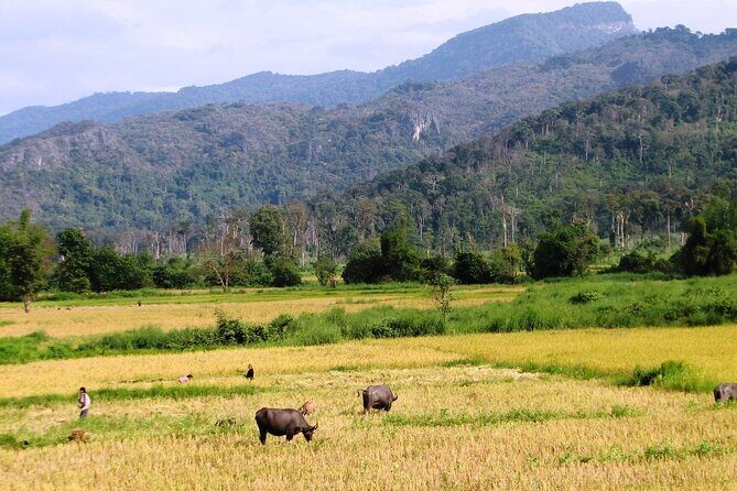 Vientiane Day Trip By Bike To Tad Moon Waterfall - Price and What You Actually Get for $150